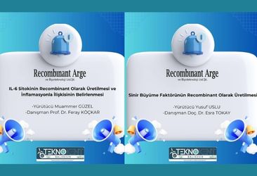Recombinant Arge ve Biyoteknoloji Ltd.Şti. Firmamızın 2 Projesi TÜBİTAK'dan Kabul Gördü