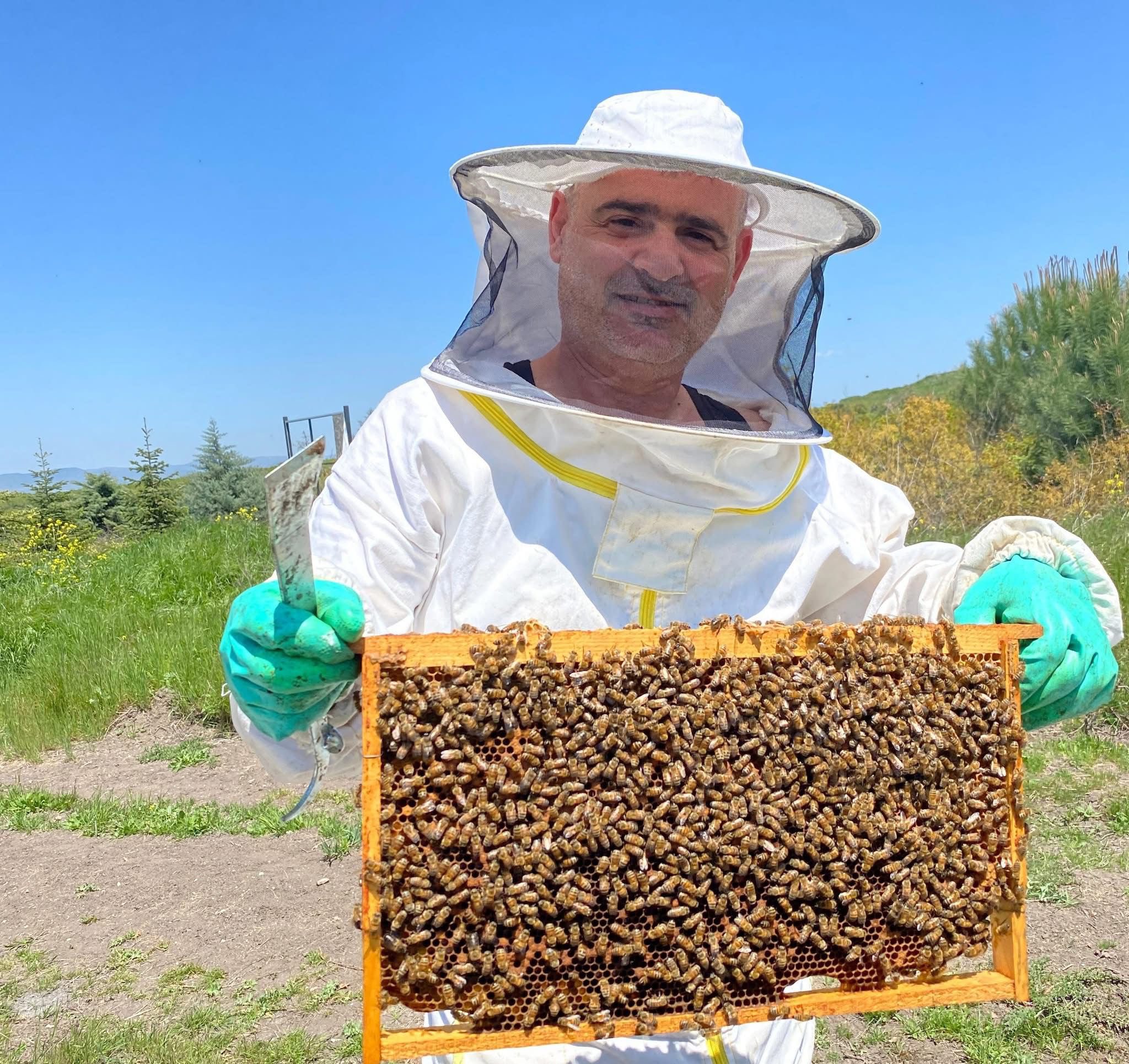 Balıkesir Üniversitesi’nde Doğaya Dost Yenilikçi Bal Üretimi 